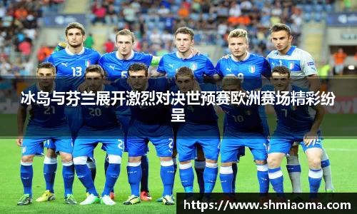 冰岛与芬兰展开激烈对决世预赛欧洲赛场精彩纷呈